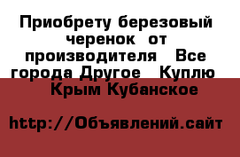 Приобрету березовый черенок  от производителя - Все города Другое » Куплю   . Крым,Кубанское